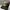 Topi Trucker Official Minecraft