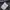 Partimento Two Pocket Jacket photo 4
