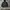 Partimento Two Pocket Jacket photo 1