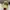 Topi duck unlimited realtree  photo 1
