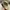 Topi duck unlimited realtree  photo 2