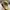 Topi Duck Unlimited Realtree 