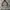 Feltics Parka Jacket  photo 1