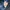 Varsiyu MLB New York Yankees photo 4
