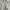 Vintage Flower Katbol Ruffle Umpak BKK photo 2