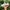 Nike shox R4 photo 1