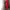 Red Lady Halterneck Dress