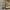 Crocodile Vintage Streetwear Fleece Pria Tan Cream