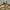 Crocodile Vintage Streetwear Fleece Pria tan cream photo 4