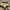 Crocodile Vintage Streetwear Fleece Pria tan cream photo 5