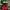 puma speedcat red og original photo 7