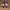 ‘Vans authentic I Love Girls’ photo 1