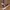 ‘Vans authentic I Love Girls’ photo 2