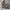 Evinrude Vintage Casual Track jacket Pria gray photo 2