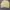 A Bathing Ape Vintage Streetwear Bomber jacket Pria cream photo 4