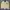 A Bathing Ape Vintage Streetwear Bomber Jacket Pria Cream