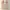 Y2K Coquette Cami top Wanita white red photo 4