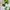 Shoujo School Set photo 3