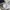 Valentino Garavani Trainer White Sneakers  photo 5