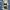 Navy Cullotes