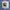 Navy Cullotes photo 1