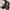 dr martens 1461 photo 8