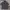 POLO SHIRT by GIANNI VALENTINO photo 1