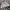 Tommy Hilfiger Vintage Windbreaker Pria white photo 7