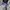 Adidas Grapich Hoodie photo 2