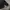 The North Face Gorpcore Windbreaker Pria black photo 6