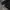 The North Face Gorpcore Windbreaker Pria black photo 5
