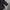 The North Face Gorpcore Windbreaker Pria black gray photo 7