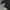 The North Face Gorpcore Windbreaker Pria black gray photo 6