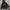 The North Face Gorpcore Windbreaker Pria black gray photo 1