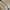 Original Christian Dior Sunglasses  photo 3