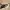 Original Christian Dior Sunglasses  photo 2