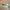Original Christian Dior Sunglasses  photo 4