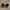 Original Christian Dior Sunglasses  photo 1