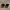 Original Christian Dior Sunglasses 