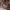 Michael Kors Vintage Hobo Bag Wanita Brown