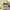 Original Tory Burch leather flat shoes  photo 5