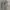 Uniqlo X Ines De La Fressange Tapered Check Pants photo 7