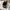 Apple Watch Ultra Gen 2 49mm photo 3
