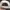 Nike Vintage Streetwear Hat Pria white red photo 3