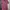 Pink dress photo 1