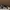Adidas Superstar Bonega  photo 1