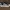 Adidas Superstar Bonega  photo 5