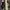 Adidas Superstar Bonega  photo 4