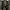 Adidas Superstar Bonega  photo 2