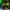sepatu basket Skechers skx float green (cocok untuk outdoor) photo 6